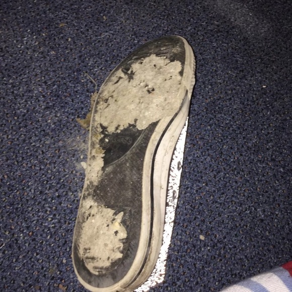 Converse - Picture 2 of 4